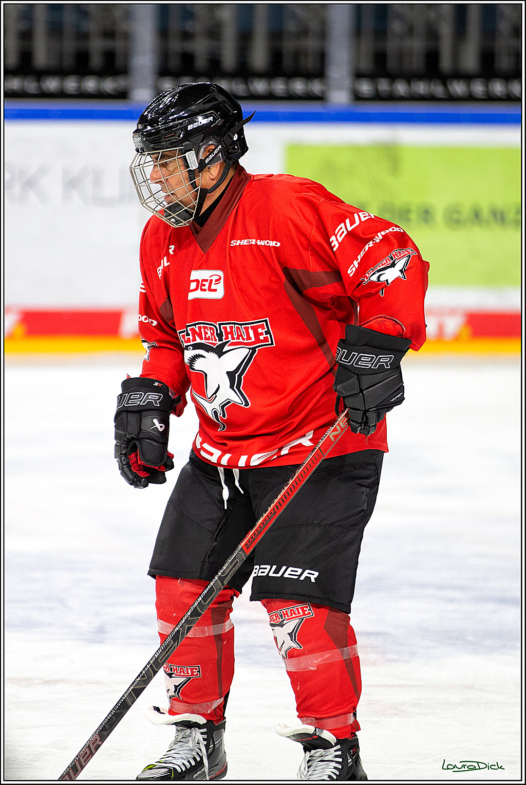 PENNY DEL; Koelner Haie- Red BUll Muenchen Sponsorenspiel; Koeln, 08.11.2022